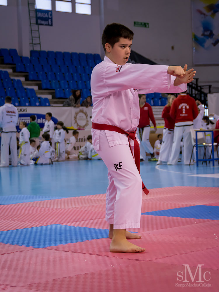 TAEKWONDO CAMPEONATO PAREJAS ABRIL 2018_2009.jpg